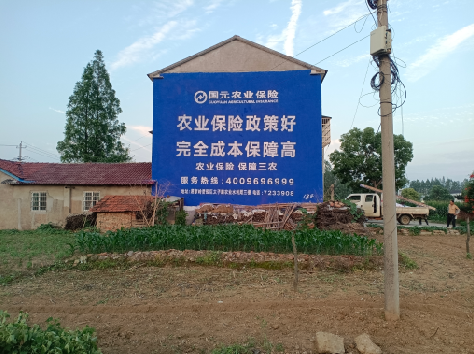 玉屏墙体广告的优劣势你知道吗？